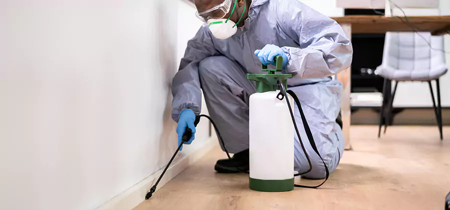 No Tent Termite Extermination With Electric Tool in Union City