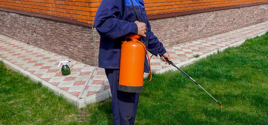 Non Toxic Termite Treatment in Union City