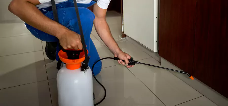 One Time Termite Control in Union City