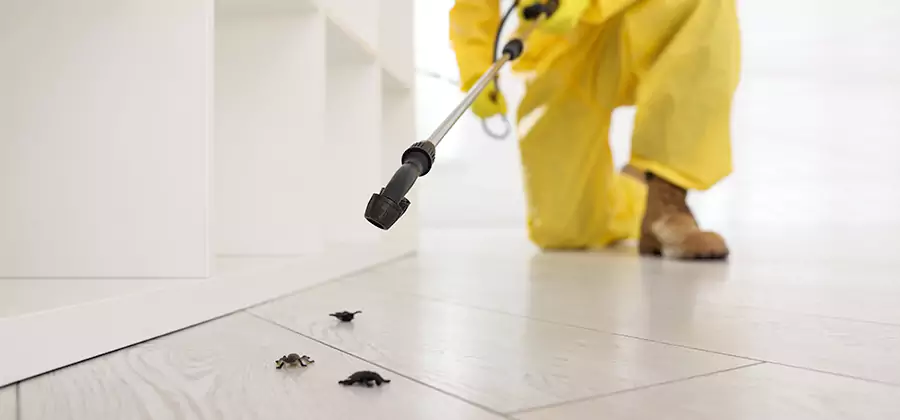 Roach and Bed Bug Exterminator in Union City