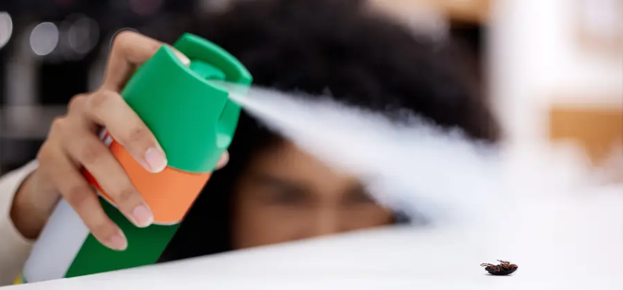 Child Safe Bed Bug Treatment in Union City