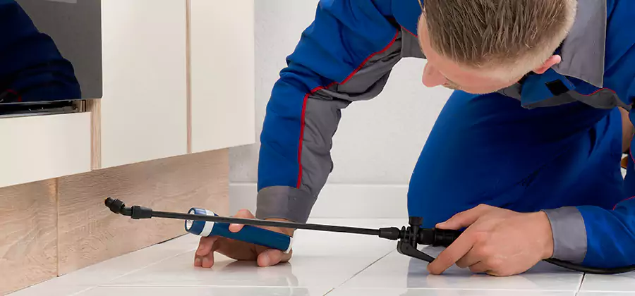 Moisture Treatment For Termite Control Service in Union City