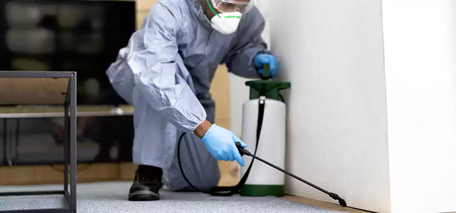 Wood Protection Termite Treatment in Union City