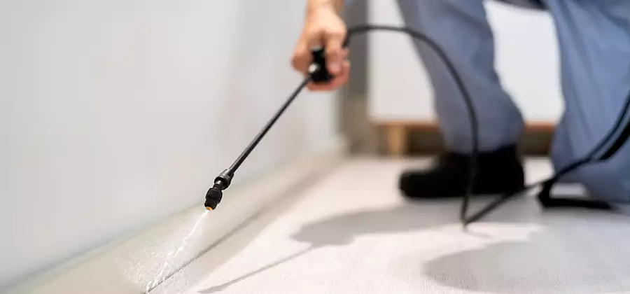 Direct Termite Injection Treatment in Union City