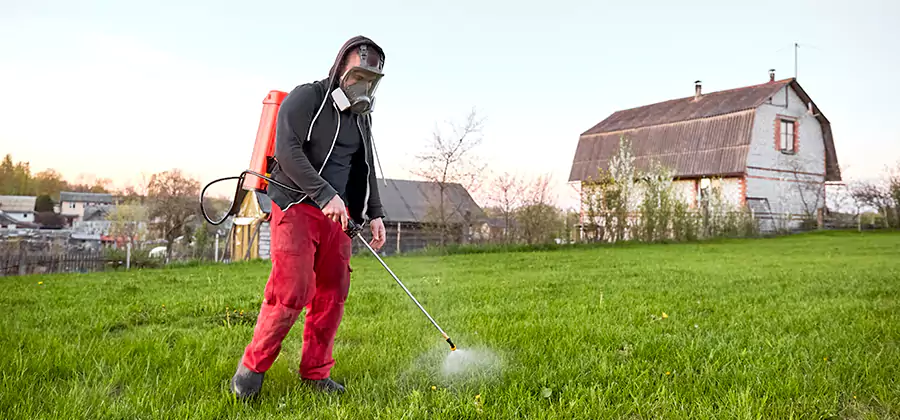Flea and Tick Pest Control in Union City