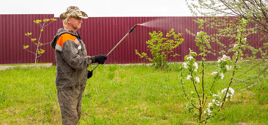 Flea and Tick Spray for Yard in Union City