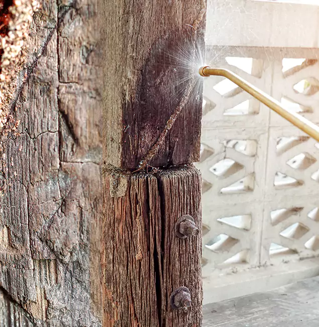 Why Choose Union City Pest Control Pro for Attic Termite Treatment in Union City, GA?