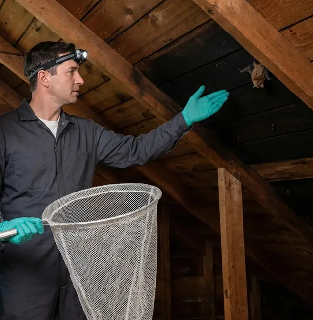Why Union City Pest Control Pro Is the Right Choice in Union City, GA?