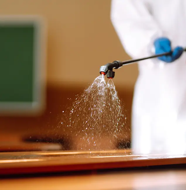 Why Choose Union City Pest Control Pro for Bed Bug Chemical Treatment in Union City, GA?