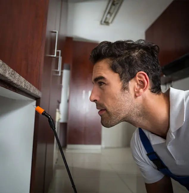 Why Choose Union City Pest Control Pro for Bed Bug Removal Cost in Union City, GA?