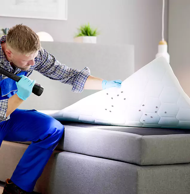 Why Choose Union City Pest Control Pro in Union City, GA?