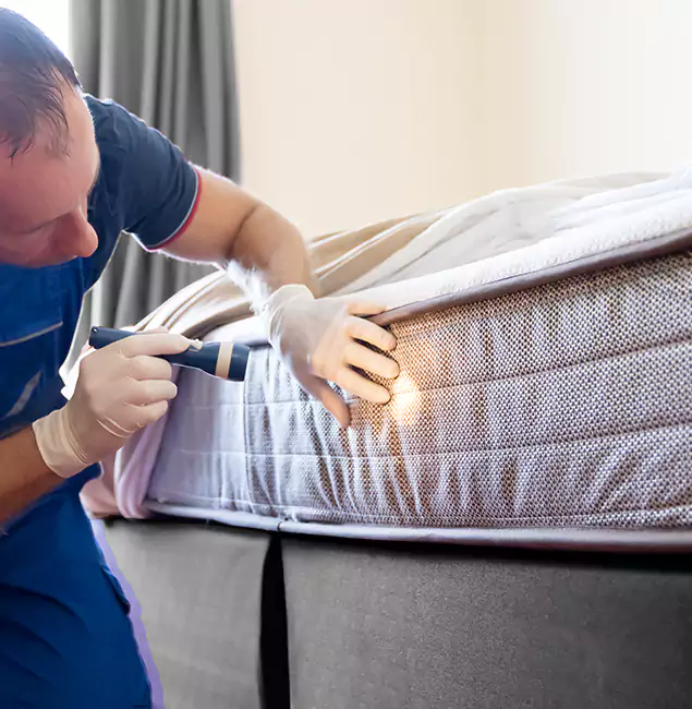 Why Choose Union City Pest Control Pro for Bed Bug Services in Union City, GA?