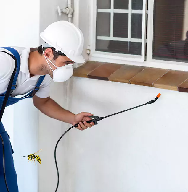 Why Union City Property Owners Choose Union City Pest Control Pro for Bee Nest Removal?