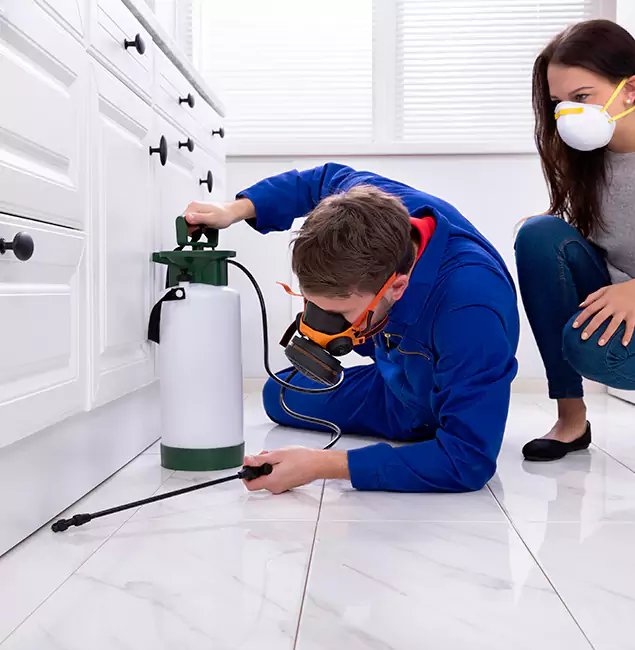 Why Choose Union City Pest Control Pro in Union City, GA?