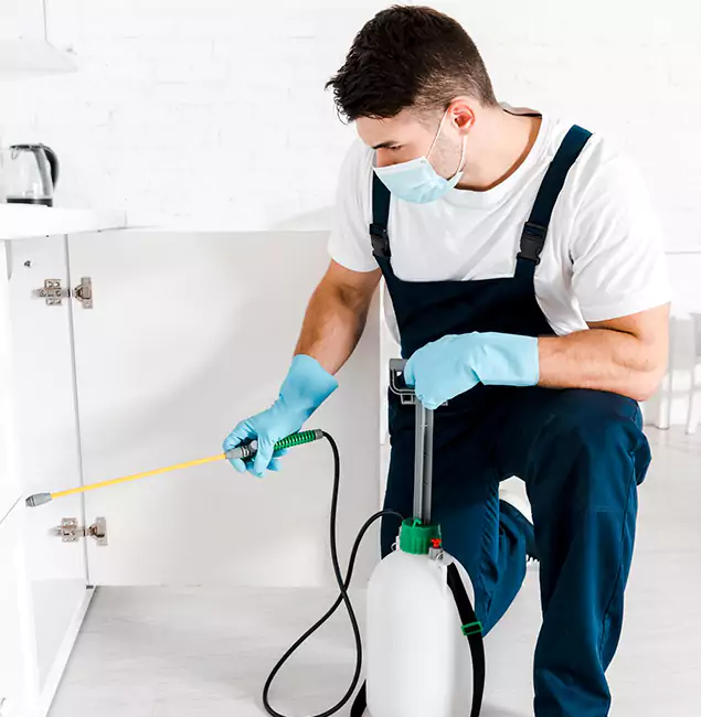 Why Choose Union City Pest Control Pro for Emergency Pest Control in Union City?
