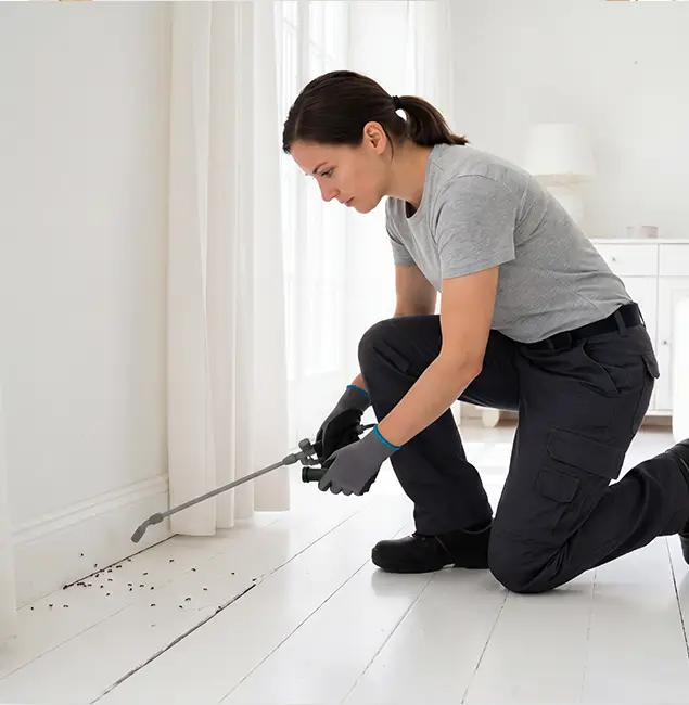 Why Union City, GA Property Owners Trust Union City Pest Control Pro for Fire Ant Control?
