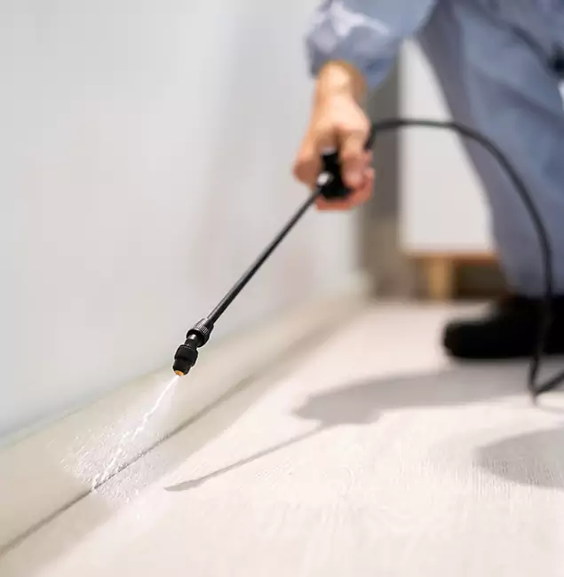 Why Choose Union City Pest Control Pro for Termite Treatment in Union City, GA?
