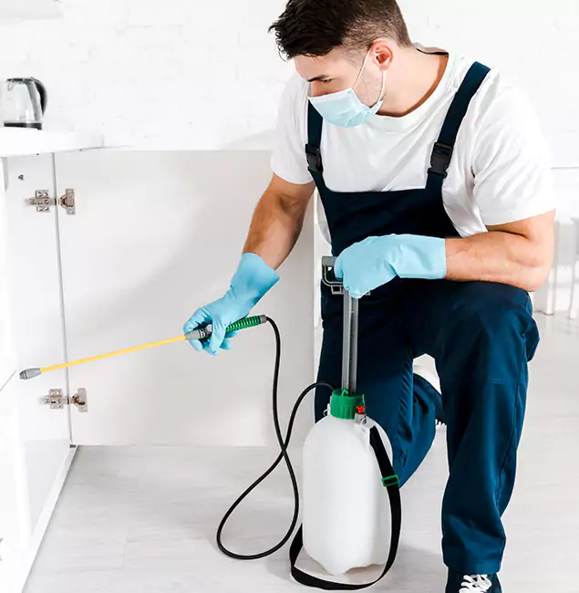 Why Choose Union City Pest Control Pro for Indoor Pest Control in Union City, GA?