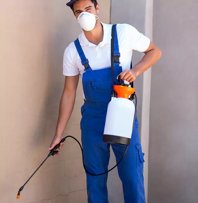 What Makes Union City Pest Control Pro the Right Choice in Union City, GA?