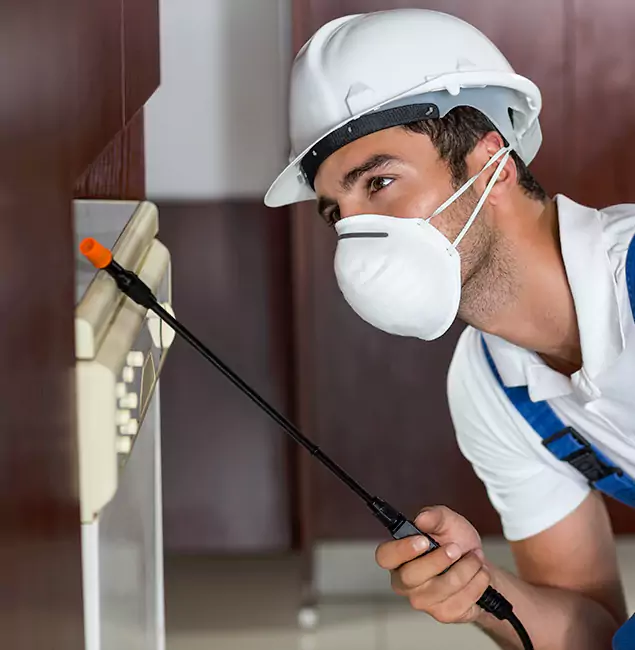 Why Union City Homeowners Rely on Union City Pest Control Pro for Tick Treatment?