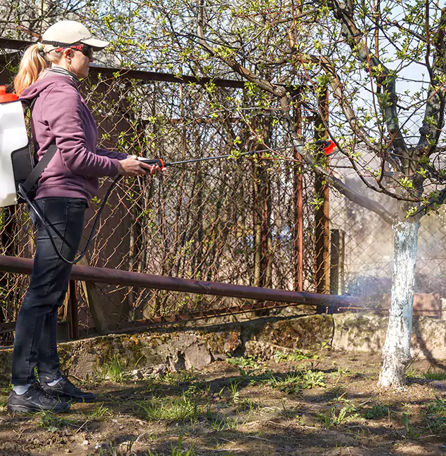Why Union City Homeowners Choose Union City Pest Control Pro for Mosquito Abatement?
