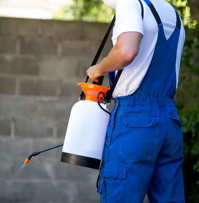 Why Union City Homeowners Rely on Union City Pest Control Pro for Mosquito Control?