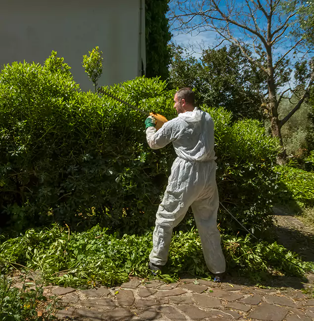 Why Union City Pest Control Pro Leads Mosquito Control in Union City, GA?