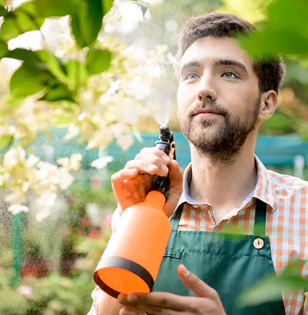 Why Union City Pest Control Pro Is the Best Mosquito Control Company in Union City, GA?