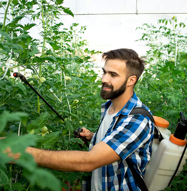 Why Union City Homeowners Choose Union City Pest Control Pro for Mosquito Spraying?