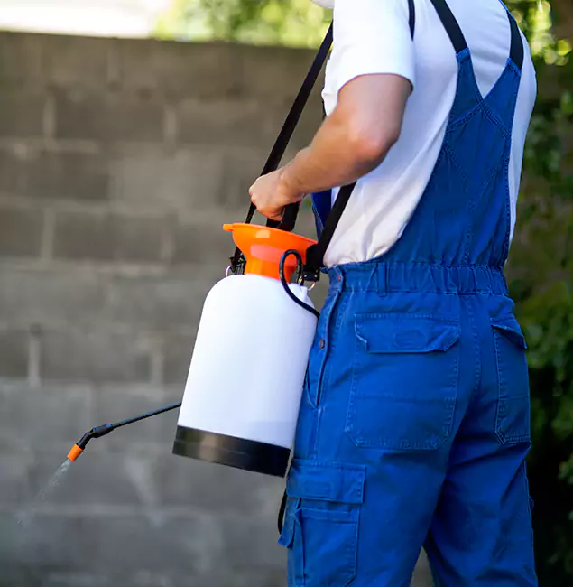 Why Union City Pest Control Pro Delivers the Best Mosquito Control in Union City, GA?