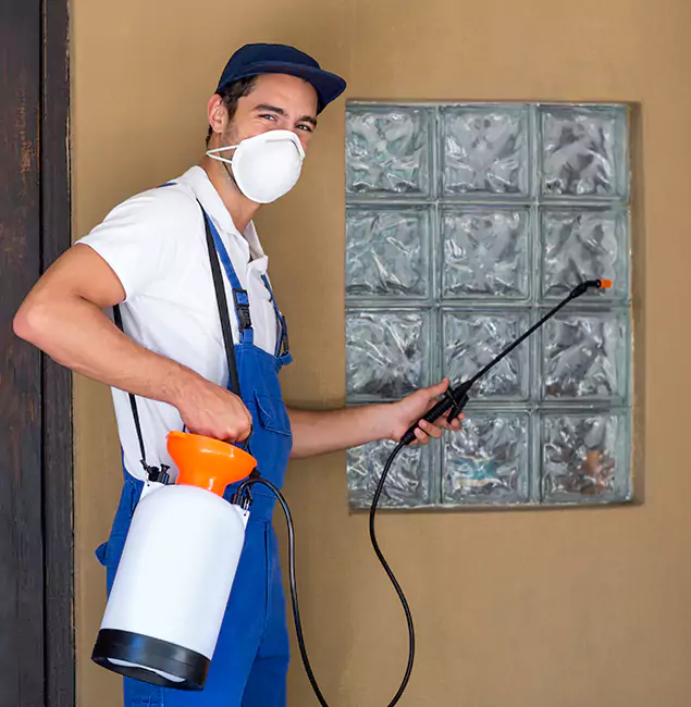 Why Union City Pest Control Pro Provides the Best Mosquito Control for Yard Properties in Union City, GA?