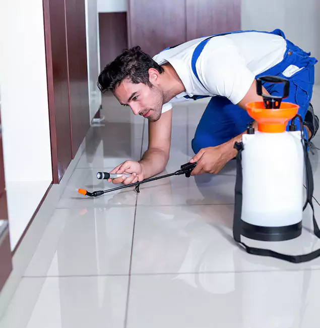 Why Union City Pest Control Pro Is the Proven Choice in Union City, GA?
