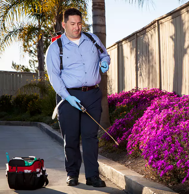 Why Choose Union City Pest Control Pro in Union City, GA?