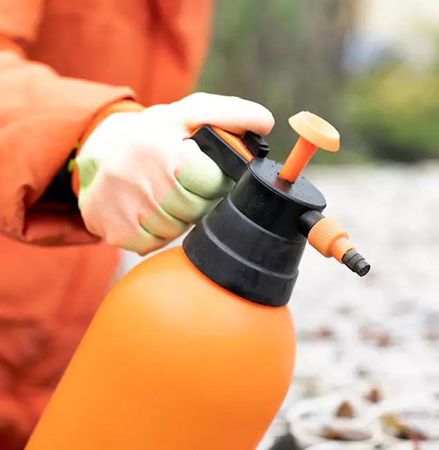 Why Choose Union City Pest Control Pro for Orange Termite Treatment in Union City, GA?