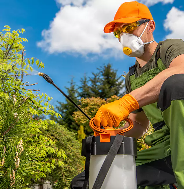 Why Choose Union City Pest Control Pro for Outdoor Pest Control in Union City, GA?