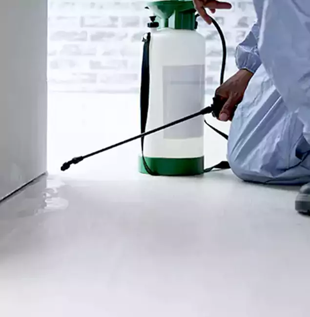Why Choose Union City Pest Control Pro for Rat Exterminator in Union City, GA?