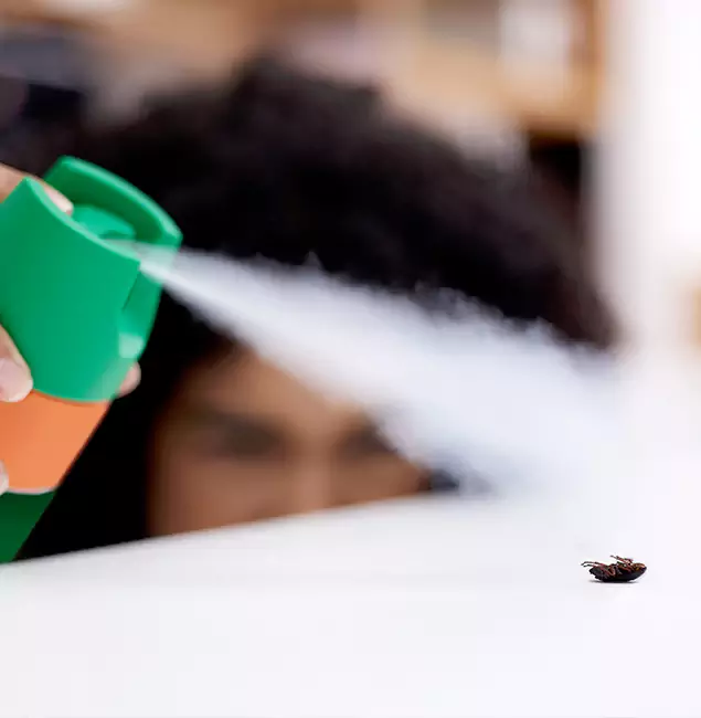 Why Union City, GA Homeowners Choose Union City Pest Control Pro for Roach Pest Control?