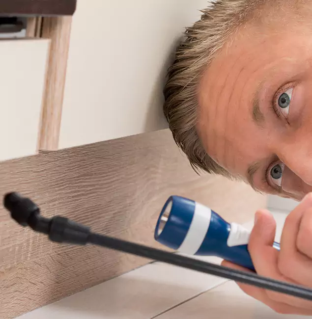 Why Choose Union City Pest Control Pro for Rodent Exterminator in Union City, GA?