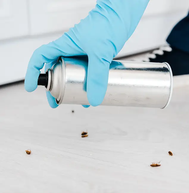 Why Choose Union City Pest Control Pro for Safe Bed Bug Treatment in Union City, GA?