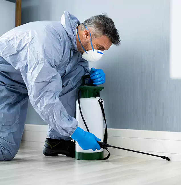 Why Choose Union City Pest Control Pro for Subterranean Termites Treatment in Union City, GA?