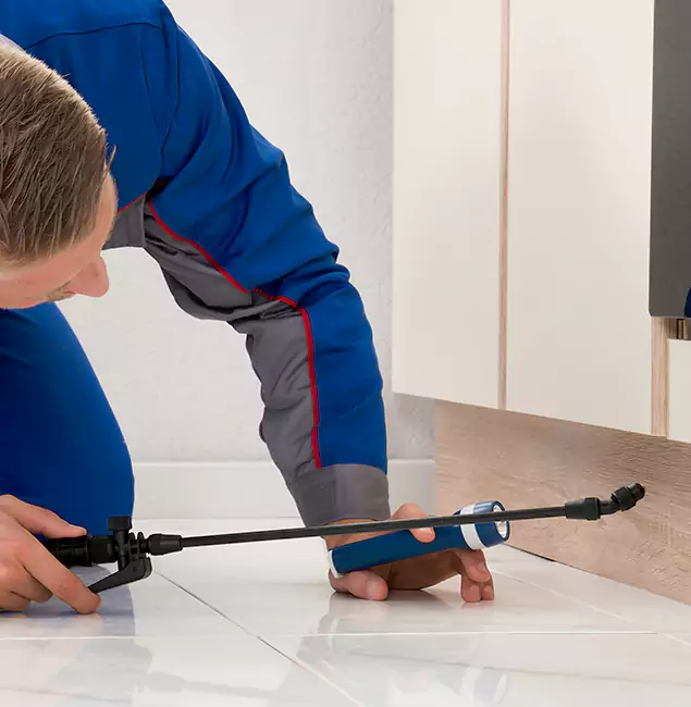 Why Union City Residents Choose Union City Pest Control Pro to Get Rid of Sugar Ants?