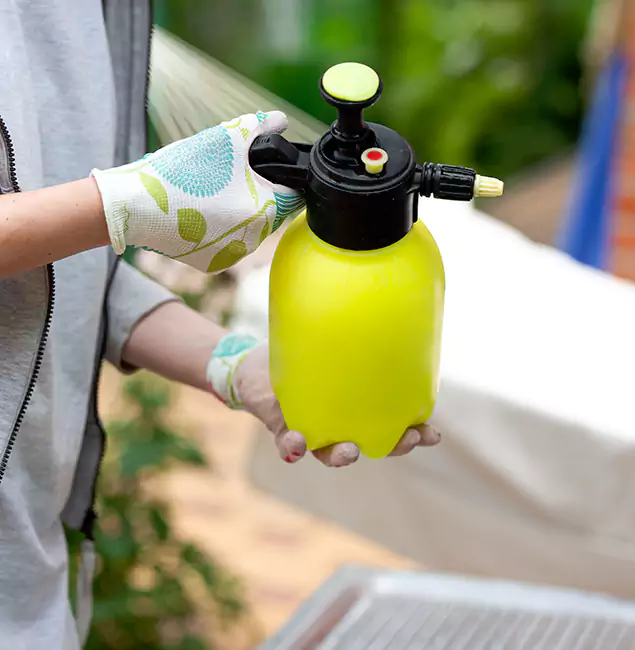 Why Choose Us: Union City Pest Control Pro Termite Spraying Experts in Union City, GA?