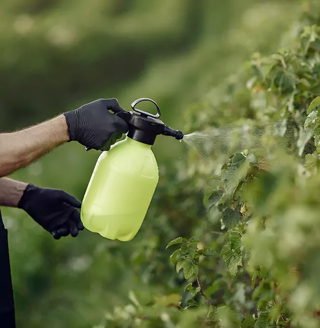 Why Union City Homeowners Choose Union City Pest Control Pro for Yard Tick Treatment?