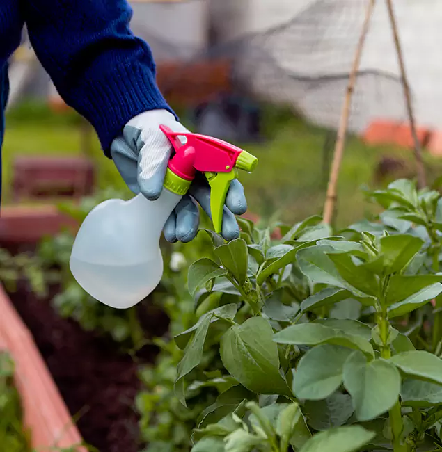 Why Union City Relies on Union City Pest Control Pro for Wasp Control Services?