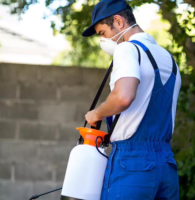 Why Union City Pest Control Pro Is the Right Choice for Yellow Jacket Removal in Union City, GA?