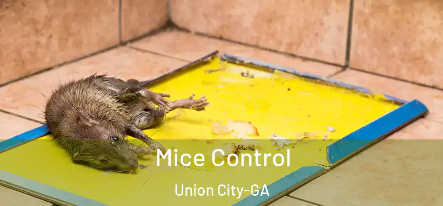 Mice Control Union City-GA
