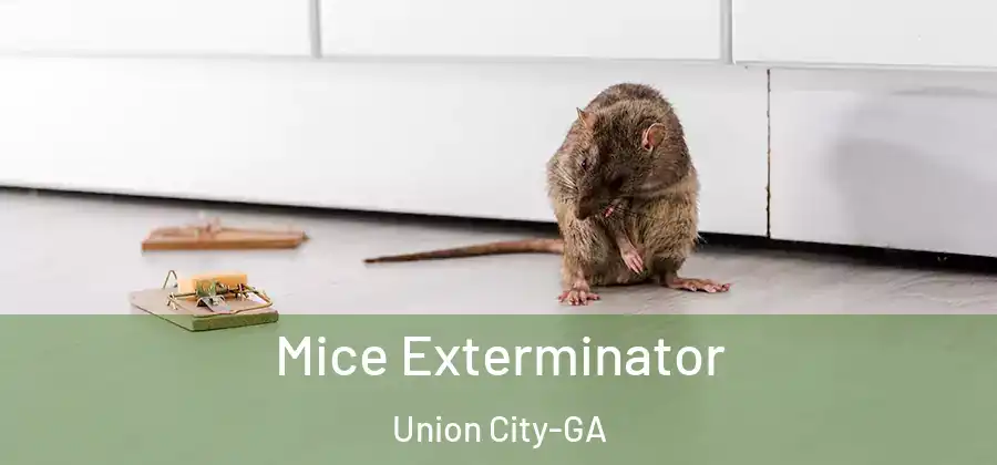 Mice Exterminator Union City-GA