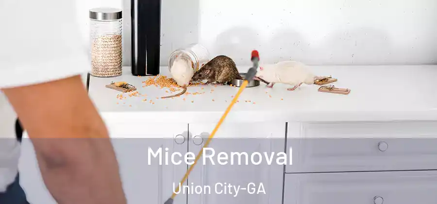 Mice Removal Union City-GA