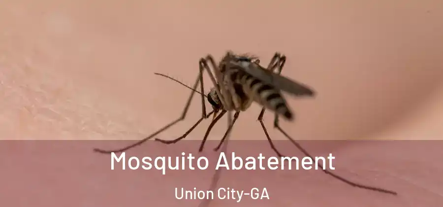 Mosquito Abatement Union City-GA