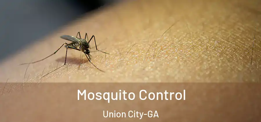 Mosquito Control Union City-GA